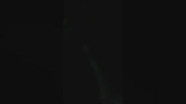 GATOXXLBR  12-11-2022